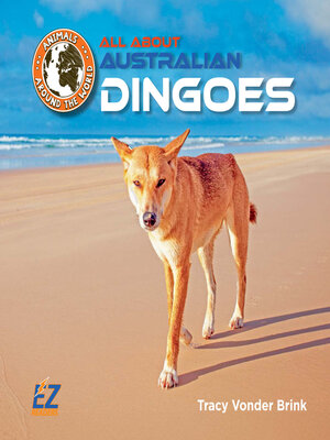 cover image of All About Australian Dingoes